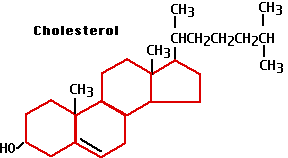 Cholesterol la gi