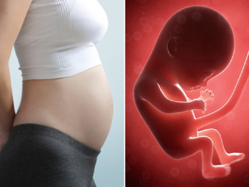 Những thay đổi của thai nhi trong 3 tháng đầu